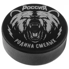 Winter Star Шайба хоккейная взрослая «Россия», d=7,5 см, h=2,5 см, 170 г